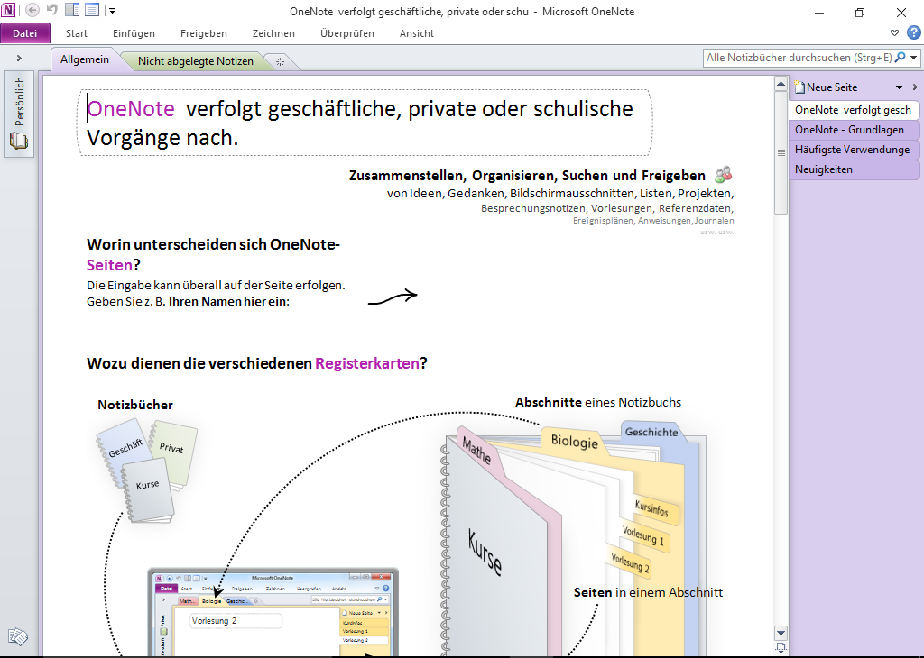 Microsoft Office 2010 Professional | Windows